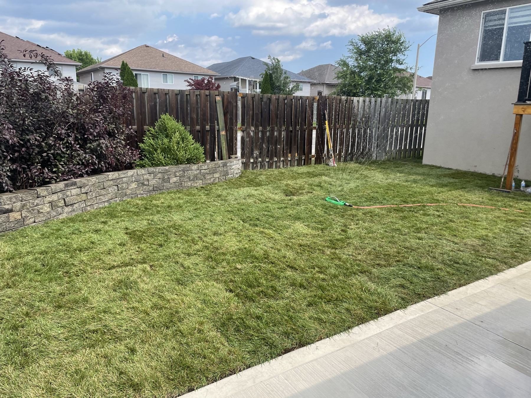 Finished yard and concrete